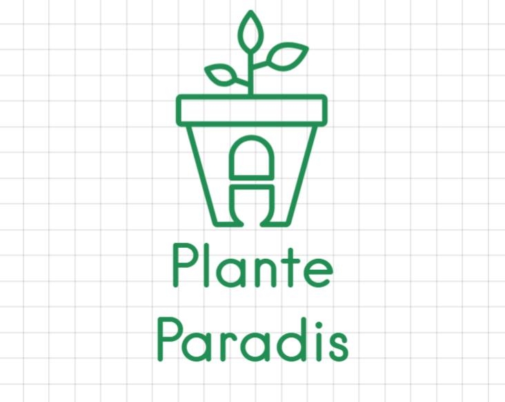 PlanteParadis
