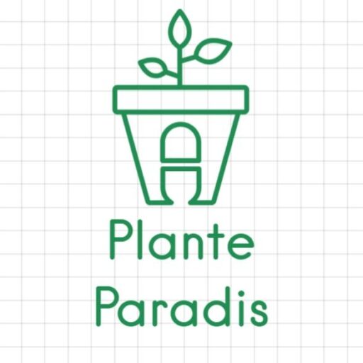 PlanteParadis