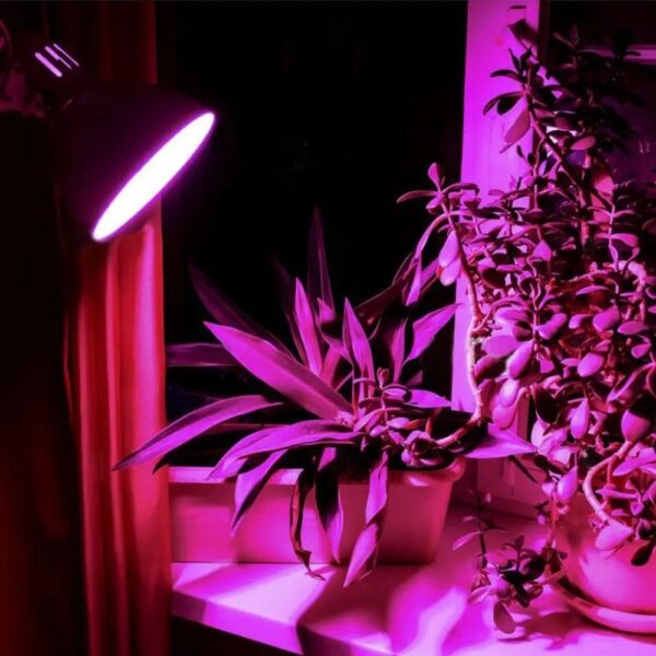 d5dbc0e254d59e448266961a35aba920 Grow Fito LED-pære Videx E27 8W plantelys