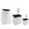 Herbgarden plastpotte