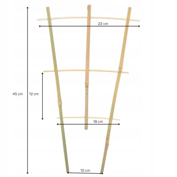 Bambus espalier - 45 cm