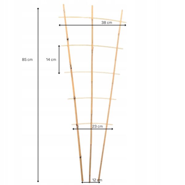 Bambus espalier - 85 cm
