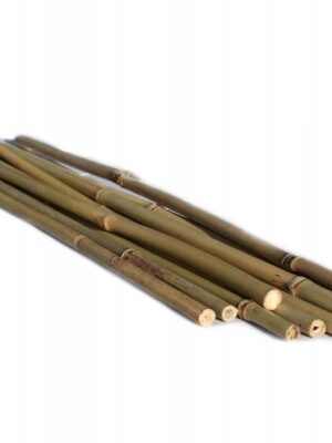 Bambuspinner 60 cm – 5 stk.