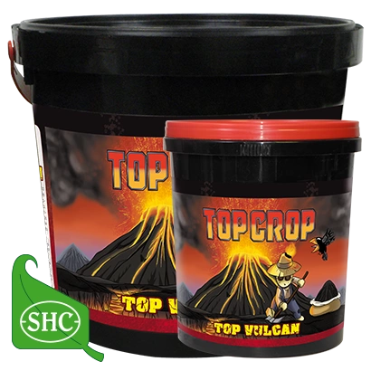 Top-Crop-Top-Vulcan-700g