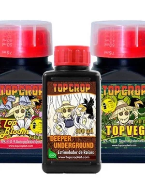 Top-Crop-Tripack-tri-pack