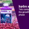 Plagron-Hydro-A-B