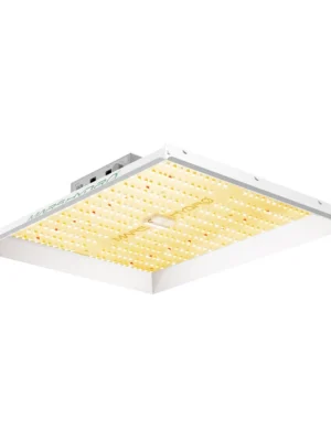 Mars-Hydro-TS-1000-150W