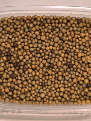 Osmocote Exact Standard 5–6M