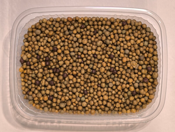 Osmocote Exact Standard 5–6M