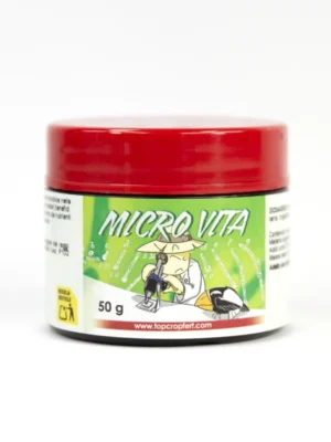 mykorrhiza til planter