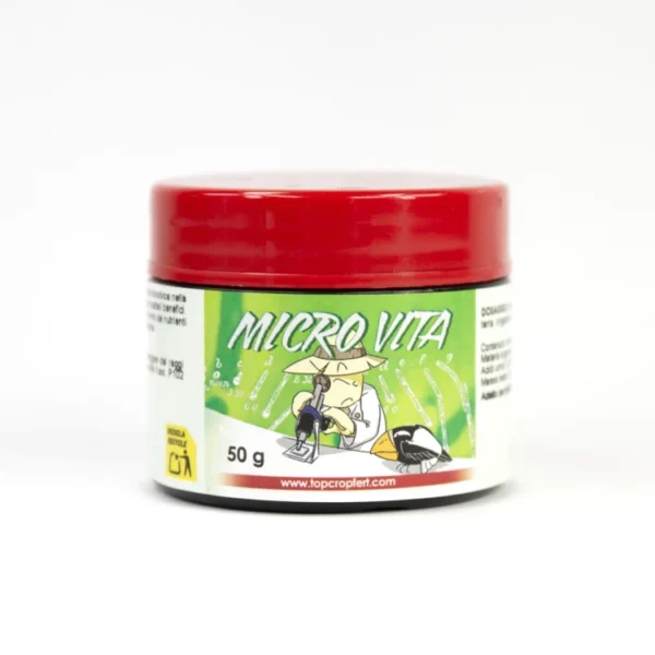 mykorrhiza til planter