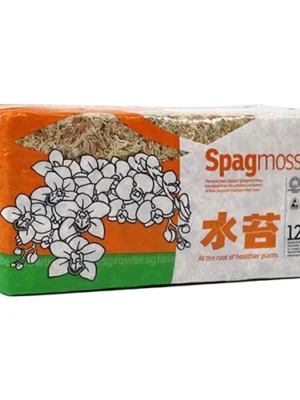 Sphagnum mose