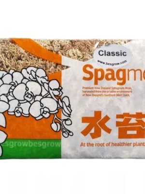 langfibret sphagnum mose