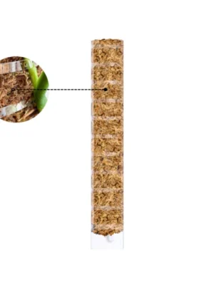 mosestokk med åpning/ mosestokk til monstera/ plantepinne klatreplanter