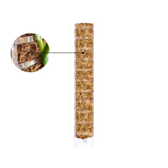pol_pm_PlantScraper-Moss-Pole-rozmiar-XL-palik-z-otwieranym-frontem-63x9-5cm-1-szt-7486_1 mosestokk med åpning/ mosestokk til monstera/ plantepinne klatreplanter