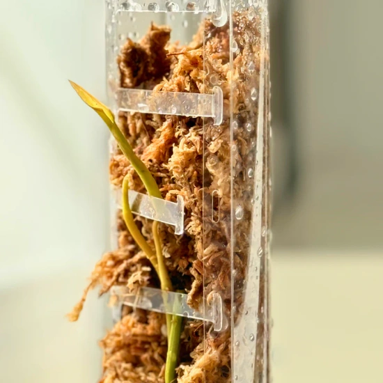 pol_pm_PlantScraper-Moss-Pole-rozmiar-XL-palik-z-otwieranym-frontem-63x9-5cm-1-szt-7486_5 mosestokk med åpning/ mosestokk til monstera/ plantepinne klatreplanter