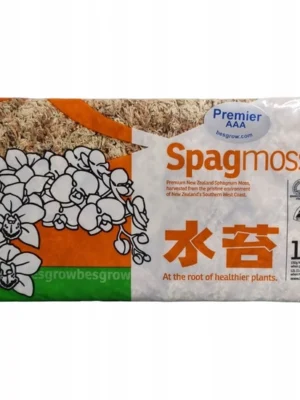 Sphagnum mose